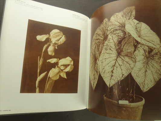 Zivot veci: Idea zatisi ve fotografii 1840-1985 / The Life of Things: The Idea of Still Life in Photography 1840-1985_写真4