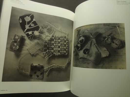 Zivot veci: Idea zatisi ve fotografii 1840-1985 / The Life of Things: The Idea of Still Life in Photography 1840-1985_写真7