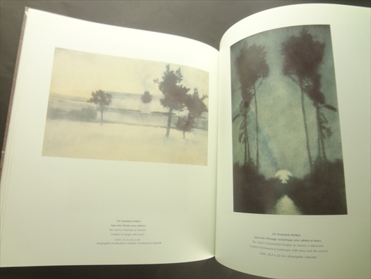 Frantisek Drtikol Fotografie z let 1901-1914 a album Z dvoru a dvorecku stare Prahy / Photographs from the period between 1901-1914 and the album From Large and Little Courtyards of Old Prague_写真6