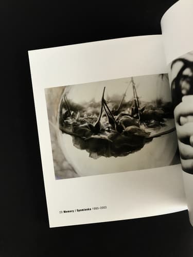 Peter Zupnik - Fototorst 34_写真2