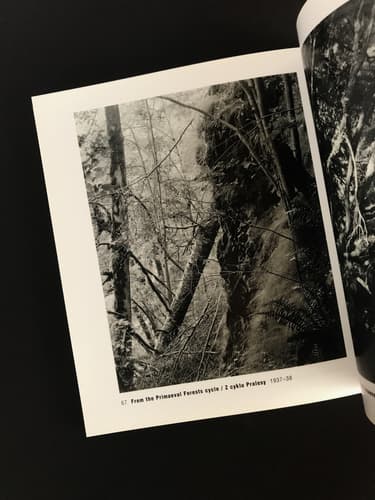 Jaromir Funke - Fototorst 15_写真6