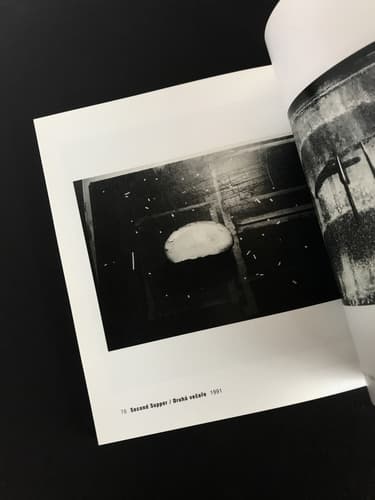 Ivo Precek - Fototorst 16_写真10