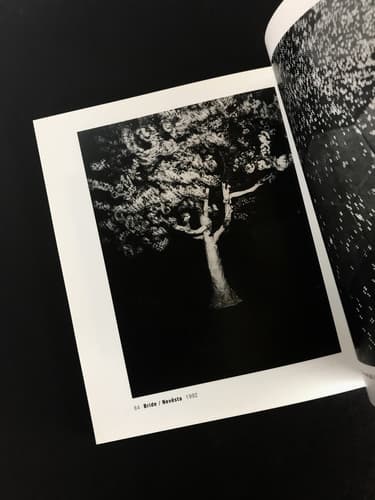 Ivo Precek - Fototorst 16_写真11