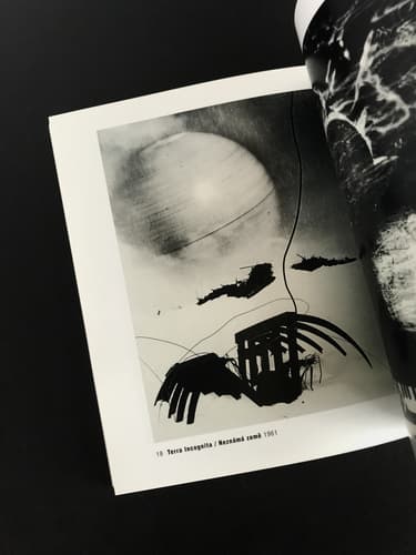 Ivo Precek - Fototorst 16_写真3