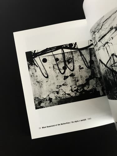 Ivo Precek - Fototorst 16_写真4