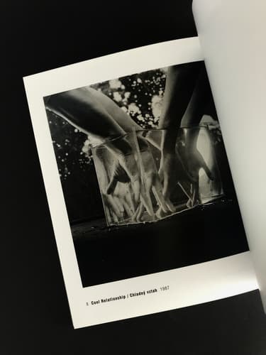 Tono Stano - Fototorst 19_写真1