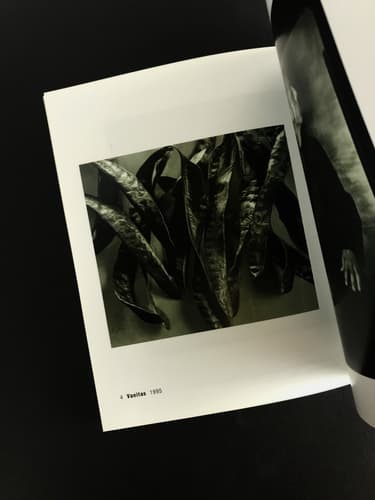 Ivan Pinkava - Fototorst 33_写真1