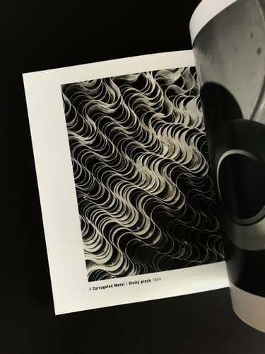 Eugen Wiskovsky - Fototorst 21_写真1