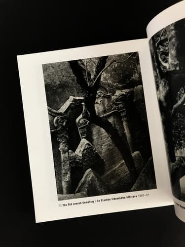 Eugen Wiskovsky - Fototorst 21_写真8
