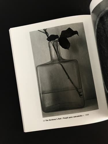 Jan Svoboda - Fototorst 37_写真1