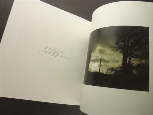 ラ・ルミエール_写真2