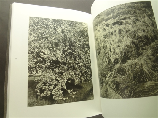 Czech Vision: Avant-Garde Photography in Czechoslovakia_写真5