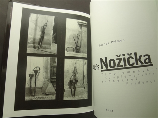 Alois Nozicka Komplementarni svedectvi / Complementary Evidence_写真1