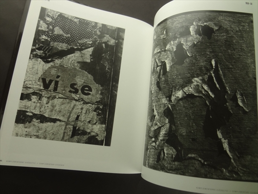 Alois Nozicka Komplementarni svedectvi / Complementary Evidence_写真2