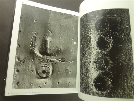 Alois Nozicka Komplementarni svedectvi / Complementary Evidence_写真3