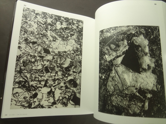 Alois Nozicka Komplementarni svedectvi / Complementary Evidence_写真4