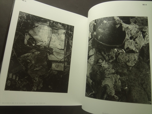 Alois Nozicka Komplementarni svedectvi / Complementary Evidence_写真6