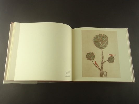 南桂子の世界 空・鳥・水…_写真2