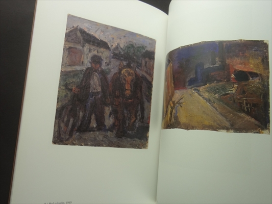 Radoslav Kutra Barva-tvar-duch: Obrazy, kvase, kresby 1941-2005_写真1