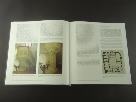Kamenne skulptury v podyji 1480-1550 (Stone Carvings in Moravian-Austrian Dyje Valley 1480-1550)_写真1