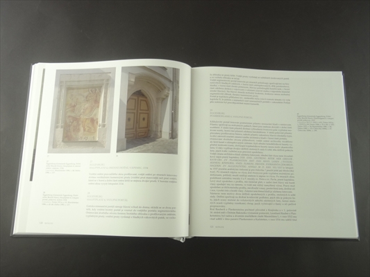 Kamenne skulptury v podyji 1480-1550 (Stone Carvings in Moravian-Austrian Dyje Valley 1480-1550)_写真4