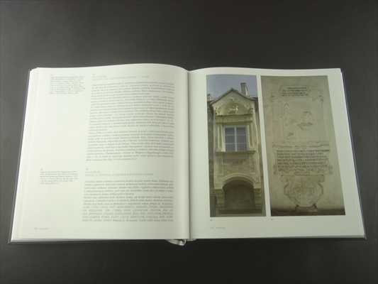 Kamenne skulptury v podyji 1480-1550 (Stone Carvings in Moravian-Austrian Dyje Valley 1480-1550)_写真5