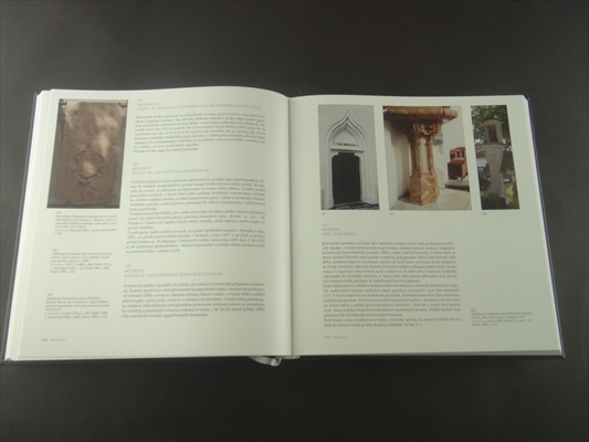 Kamenne skulptury v podyji 1480-1550 (Stone Carvings in Moravian-Austrian Dyje Valley 1480-1550)_写真6