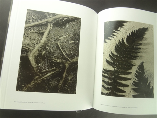 Jaromir Funke Between Construction and Emotion_写真6