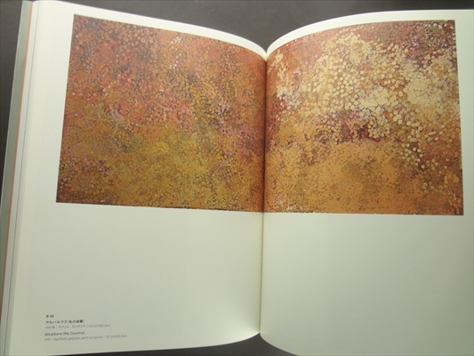 エミリー・ウングワレー展 アボリジニが生んだ天才画家_写真2