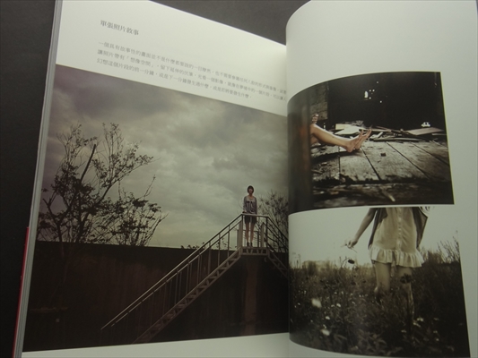 紅刺蝟 人像摂影美学 The Eathetics of Photography_写真5