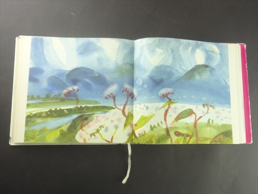 Vyhnal jsem ovecky az na Javornicek_写真1