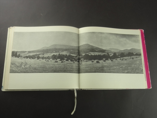 Vyhnal jsem ovecky az na Javornicek_写真3