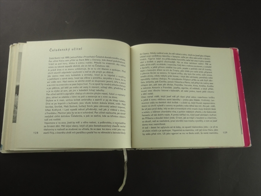 Vyhnal jsem ovecky az na Javornicek_写真4