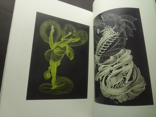 Cecilie Markova-Podobenstvi dusi_写真5