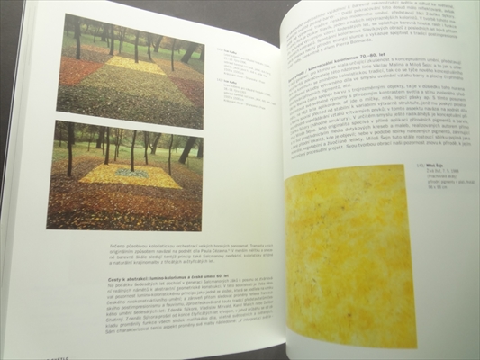 Ejhle svetlo / Look Light_写真7