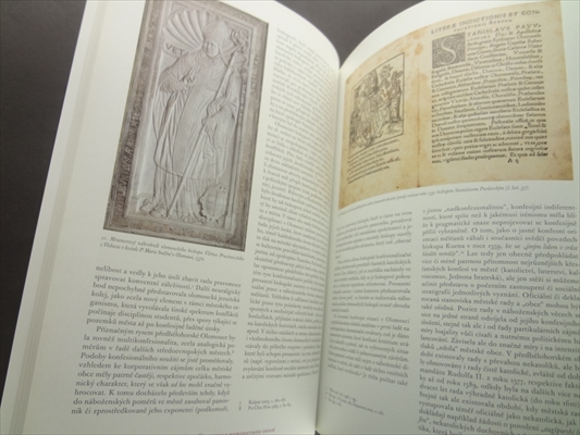 Stanislav Pavlovsky z Pavlovic (1579-1598) Biskup a mecenas umirajiciho veku_写真1