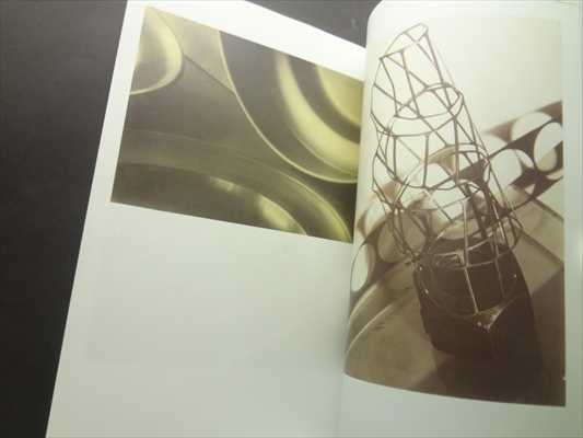 Umeni pro vsechny smysly: mezivalecna avantgarda v ceskoslovensku_写真2