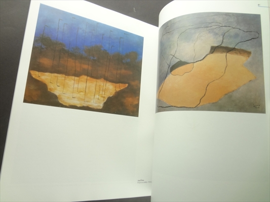 Umeni pro vsechny smysly: mezivalecna avantgarda v ceskoslovensku_写真4