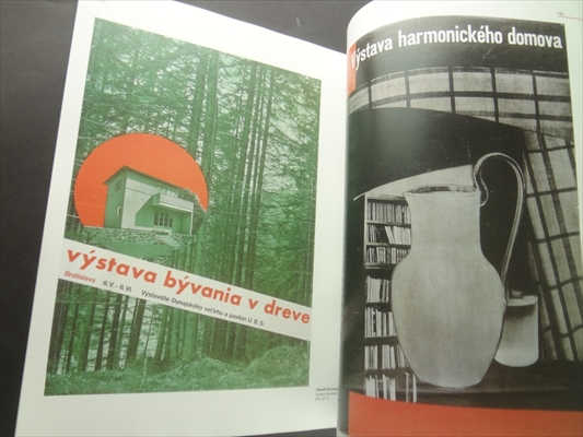 Umeni pro vsechny smysly: mezivalecna avantgarda v ceskoslovensku_写真6