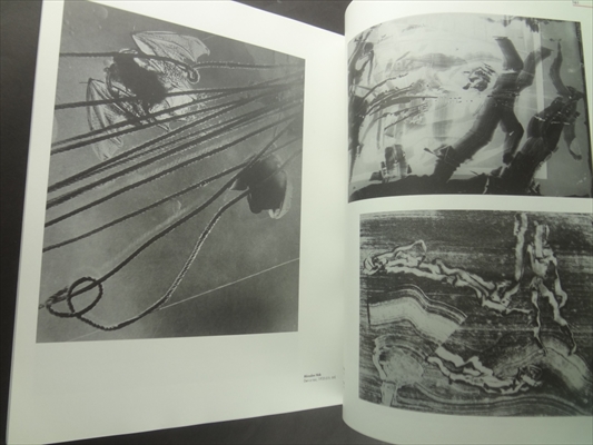 Umeni pro vsechny smysly: mezivalecna avantgarda v ceskoslovensku_写真8