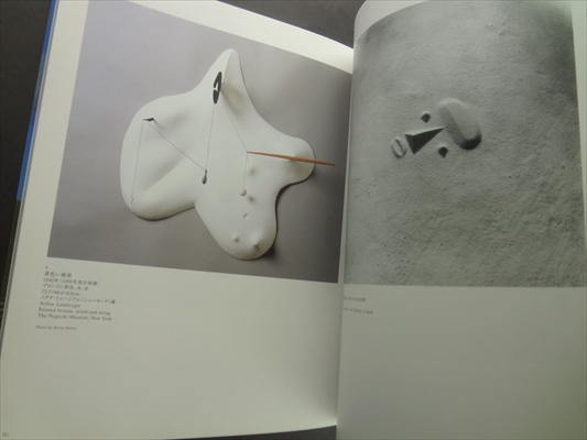 イサム・ノグチ展 (モエレ沼公園グランド・オープン記念)_写真5