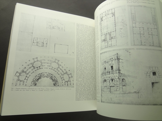 Andrea Palladio_写真6