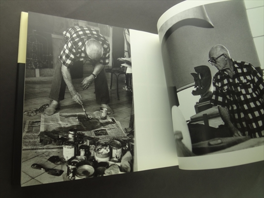 Le Corbusier: Moments in the Life of a Great Architect_写真5