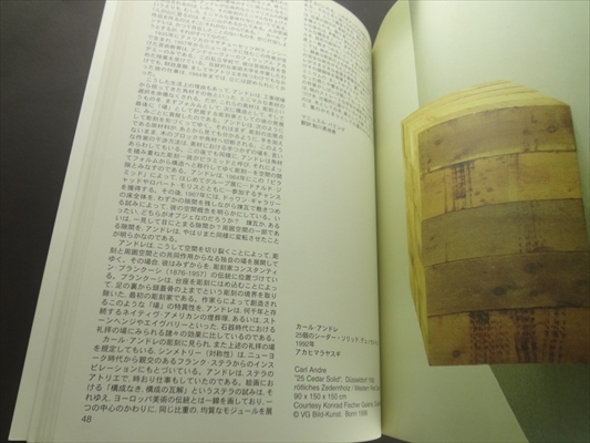 ミニマル マキシマル (展覧会図録)_写真1