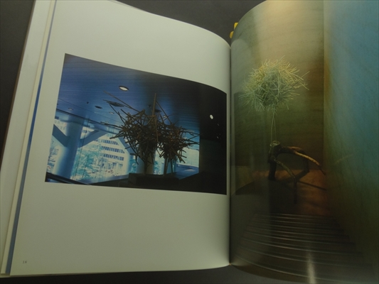 砂澤ビッキ作品集_写真1