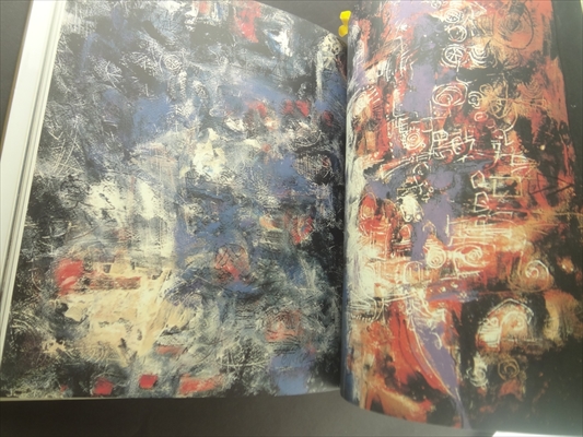 砂澤ビッキ作品集_写真4