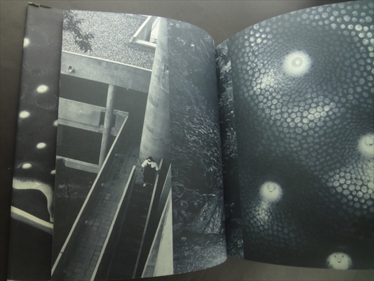 Togo Murano: Master Architect of Japan_写真1