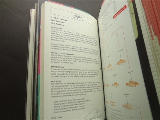 Blur: The Making of Nothing_写真2