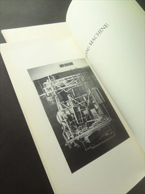 Daniel Libeskind: Line of Fire_写真4