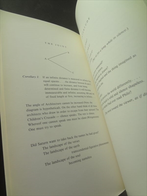 Daniel Libeskind: Line of Fire_写真5